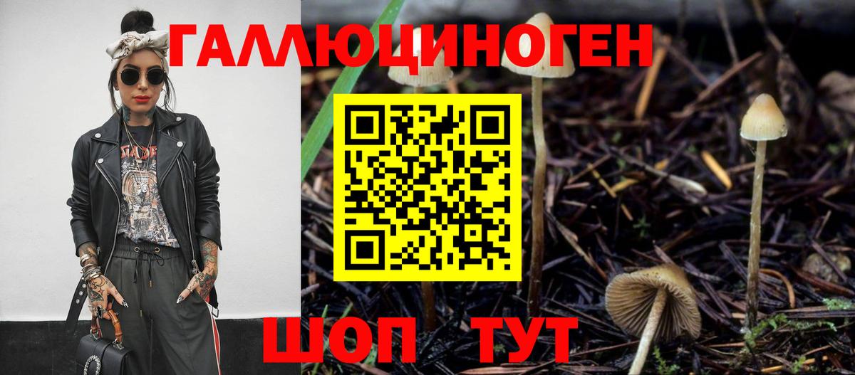 Галлюциногенные грибы MAGIC MUSHROOMS  Вход с VPN  Лениногорск 